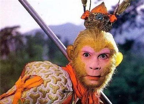 孙悟空吃瓜子,猴王孙悟空的瓜子奇缘